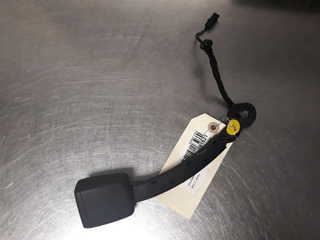 Image sélectionnée