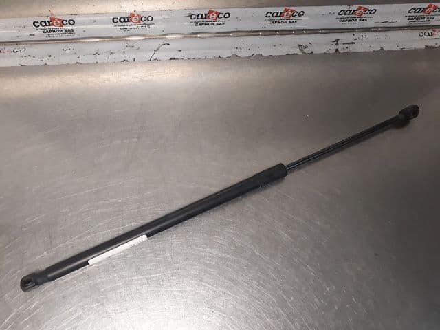 Image sélectionnée