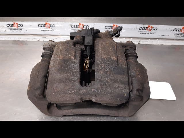 Image sélectionnée