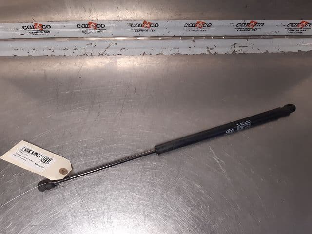 Image sélectionnée