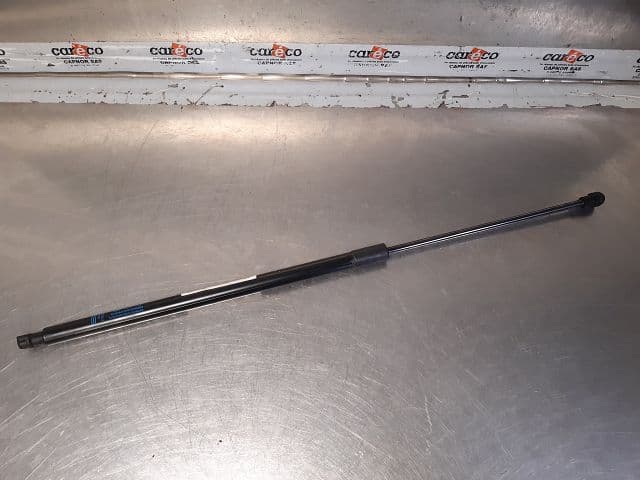 Image sélectionnée