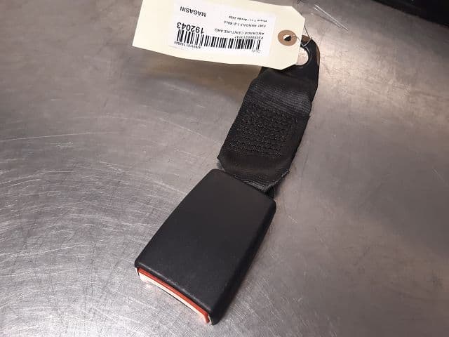 Image sélectionnée