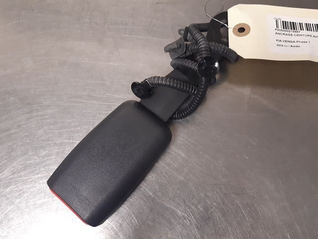 Image sélectionnée