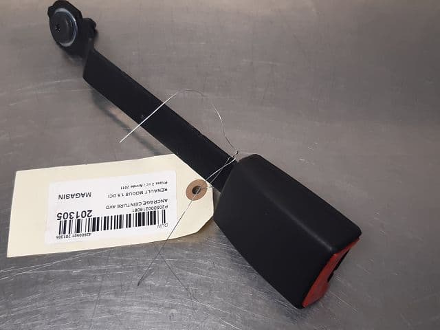 Image sélectionnée