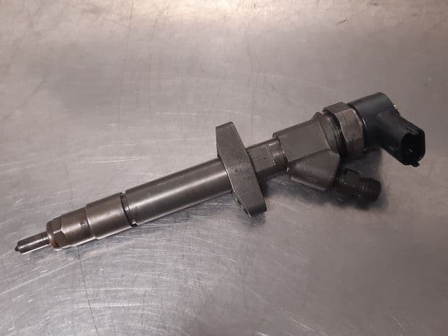 Image sélectionnée