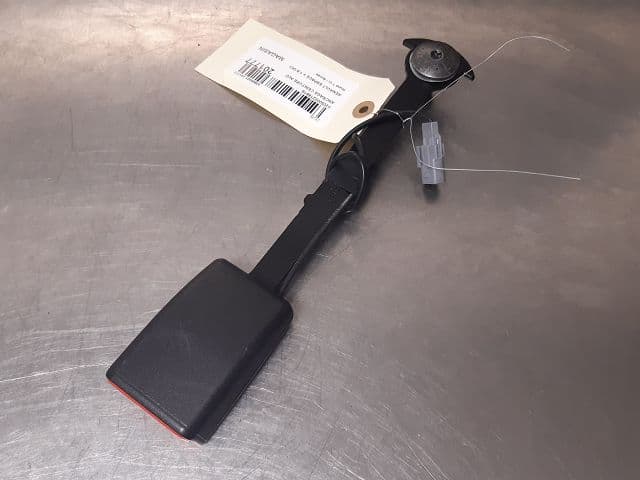 Image sélectionnée