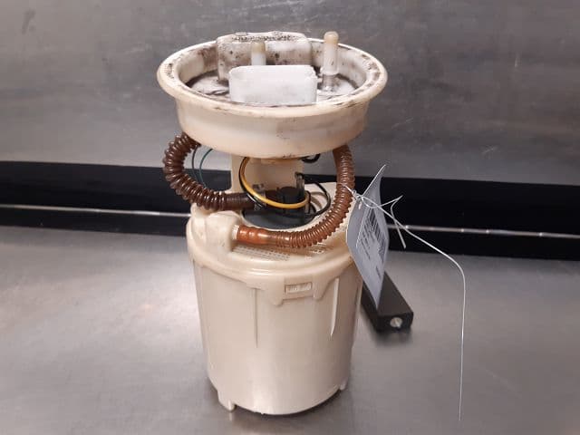 Image sélectionnée