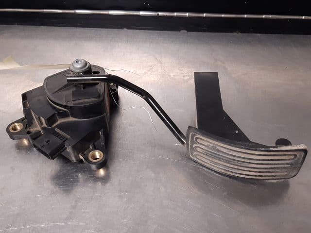 Image sélectionnée