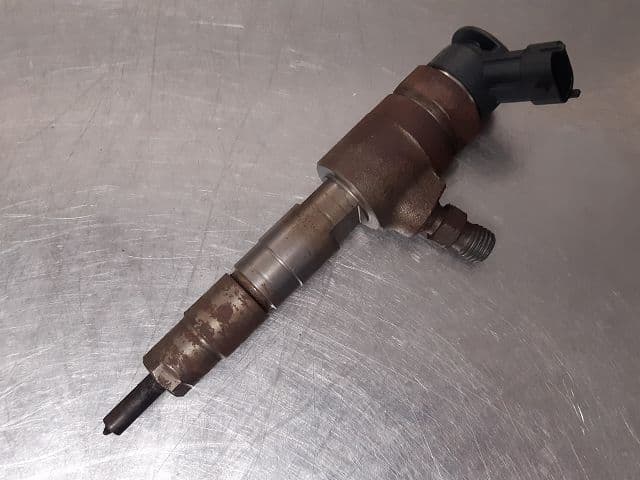 Image sélectionnée