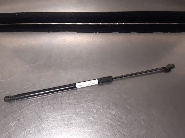 Image sélectionnée