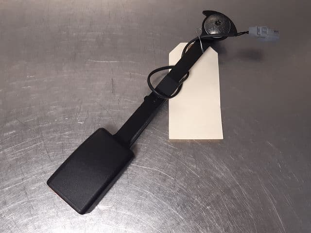 Image sélectionnée