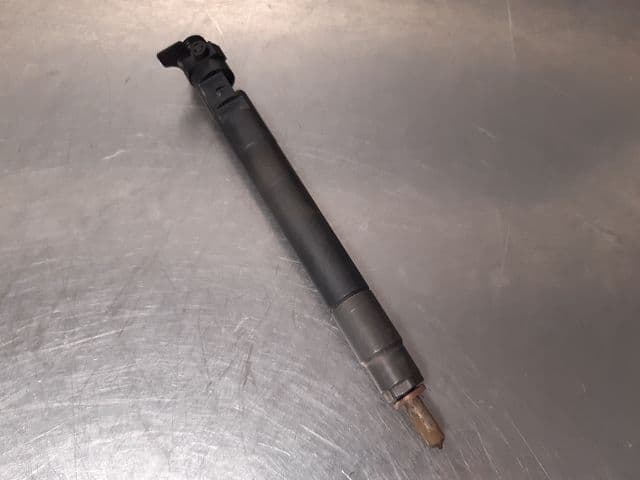 Image sélectionnée