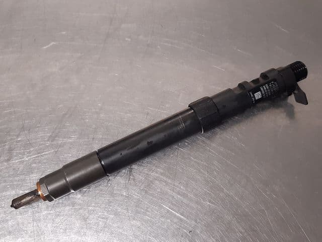 Image sélectionnée