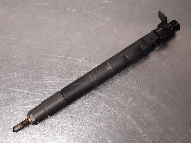 Image sélectionnée