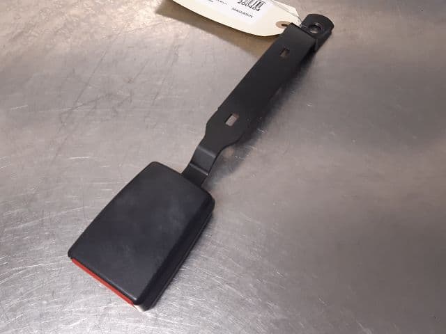 Image sélectionnée