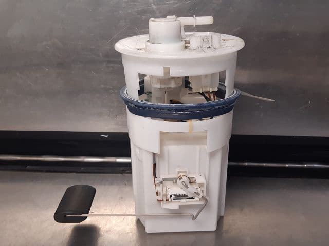 Image sélectionnée