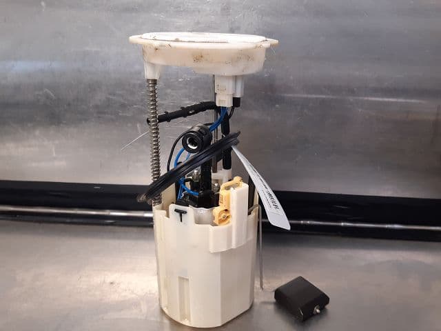 Image sélectionnée