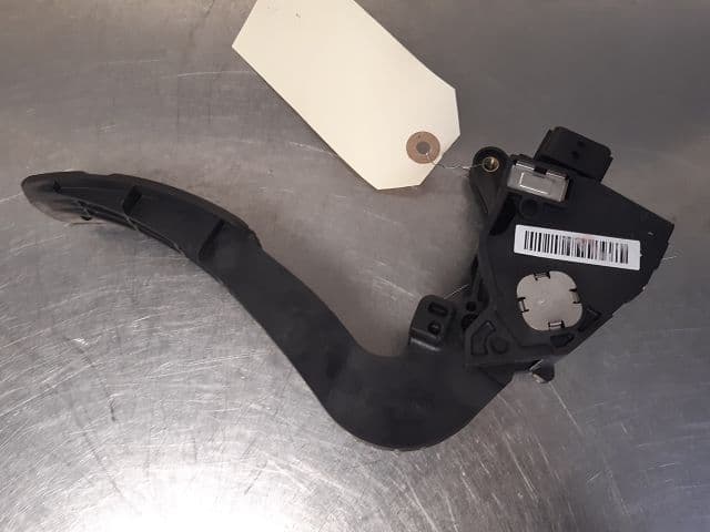 Image sélectionnée