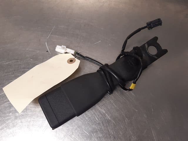 Image sélectionnée