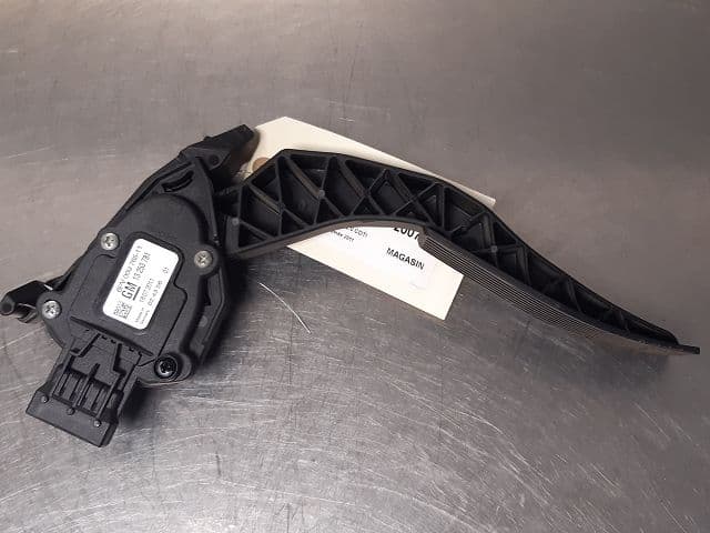 Image sélectionnée