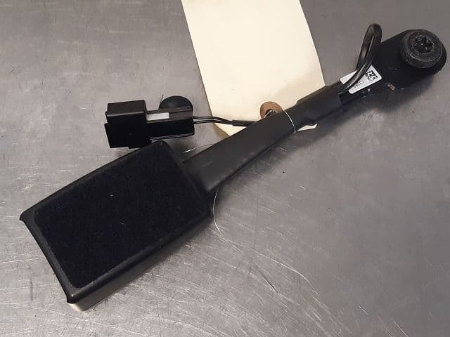 Image sélectionnée