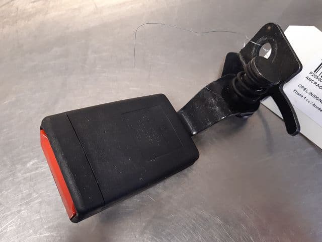 Image sélectionnée