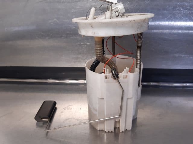 Image sélectionnée