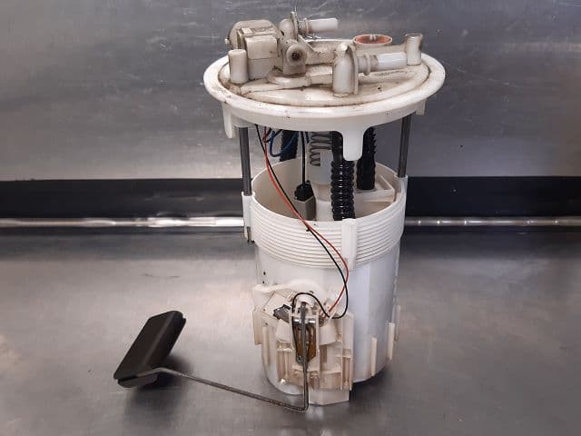 Image sélectionnée