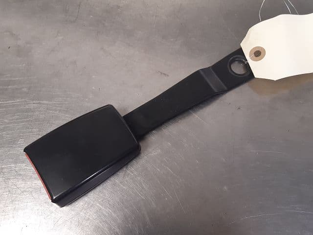 Image sélectionnée