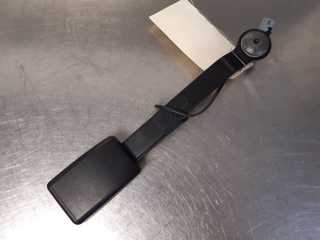 Image sélectionnée