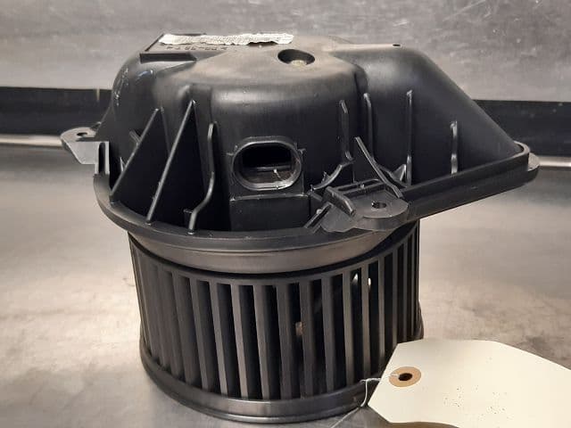Image sélectionnée
