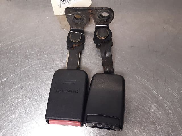 Image sélectionnée