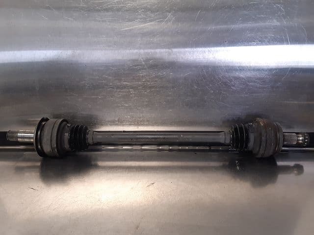Image sélectionnée