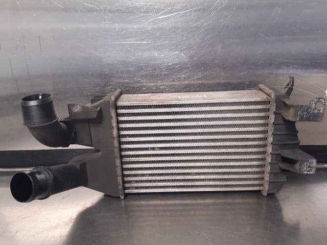 Image sélectionnée