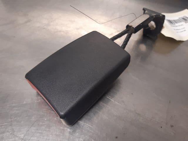 Image sélectionnée