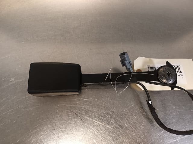 Image sélectionnée