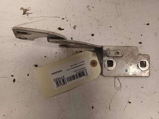 Image sélectionnée