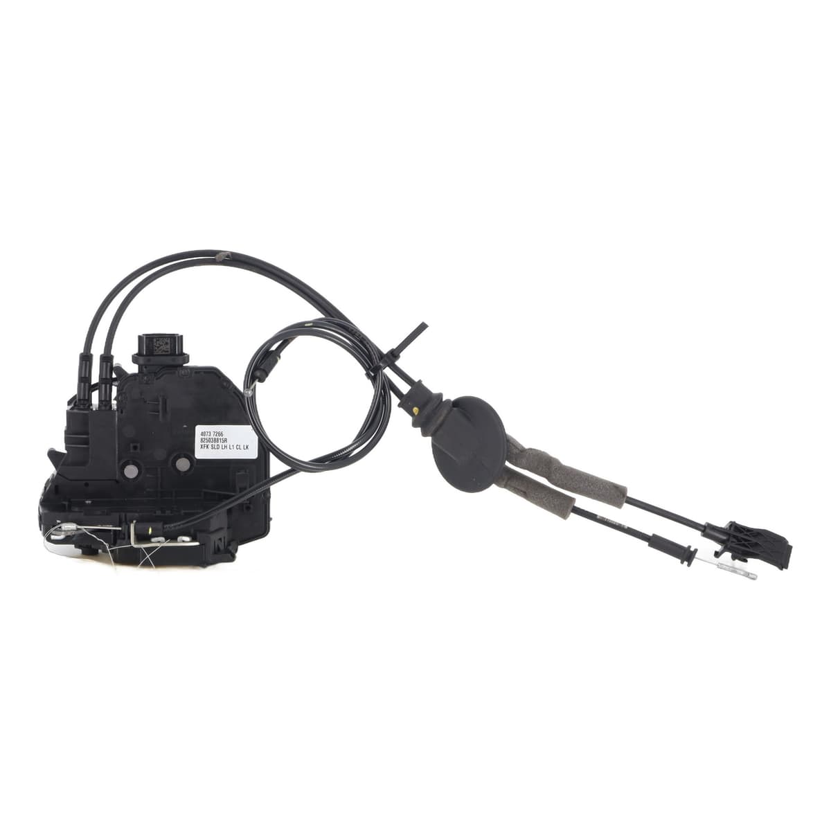 Image sélectionnée