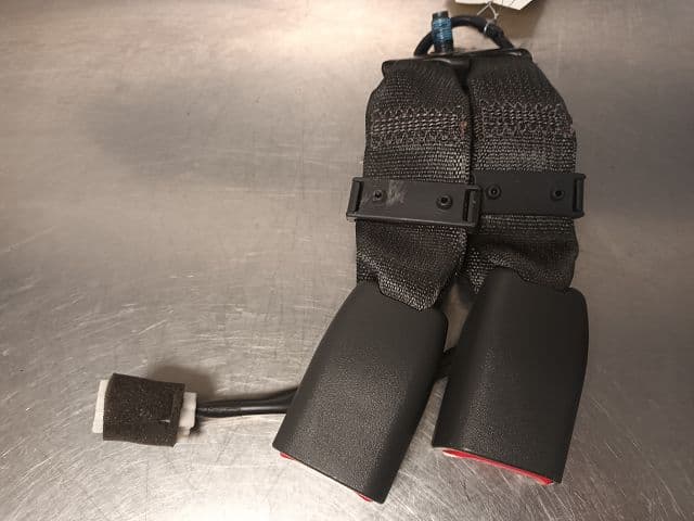 Image sélectionnée