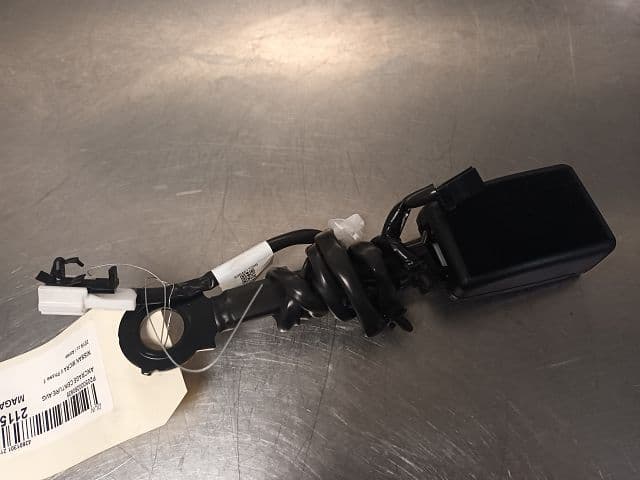 Image sélectionnée