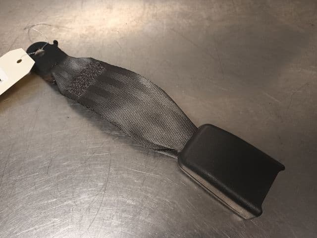 Image sélectionnée