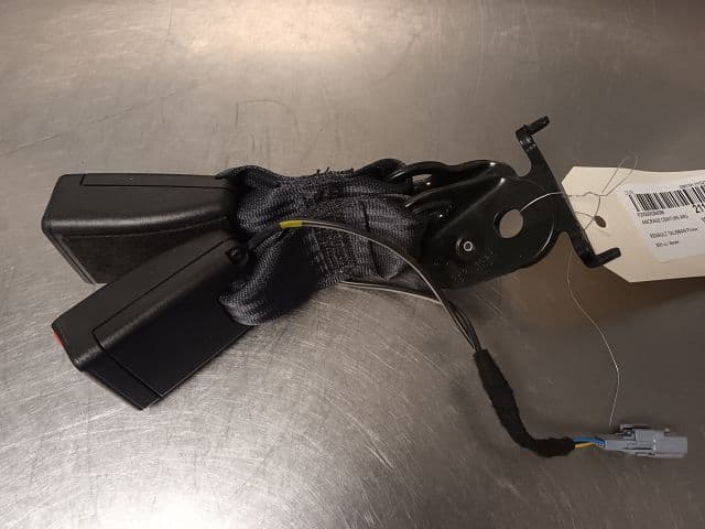 Image sélectionnée