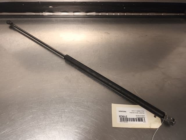 Image sélectionnée