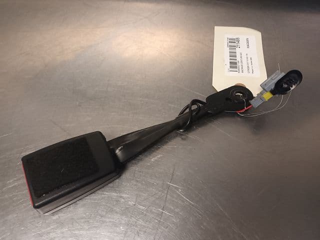 Image sélectionnée