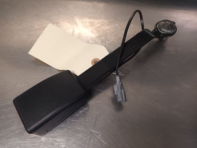 Image sélectionnée