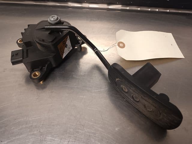 Image sélectionnée