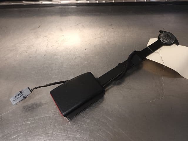 Image sélectionnée