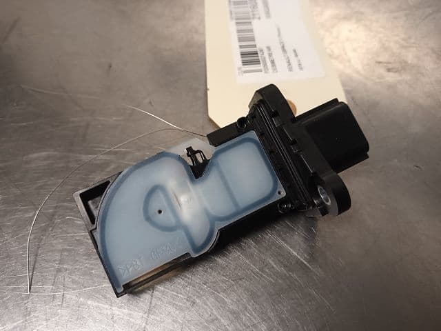 Image sélectionnée