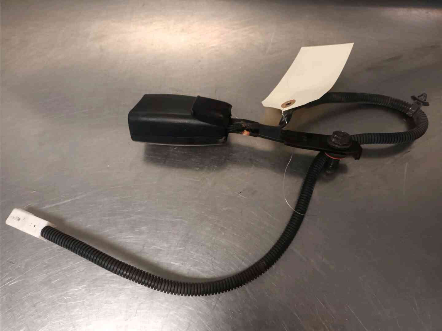 Image sélectionnée