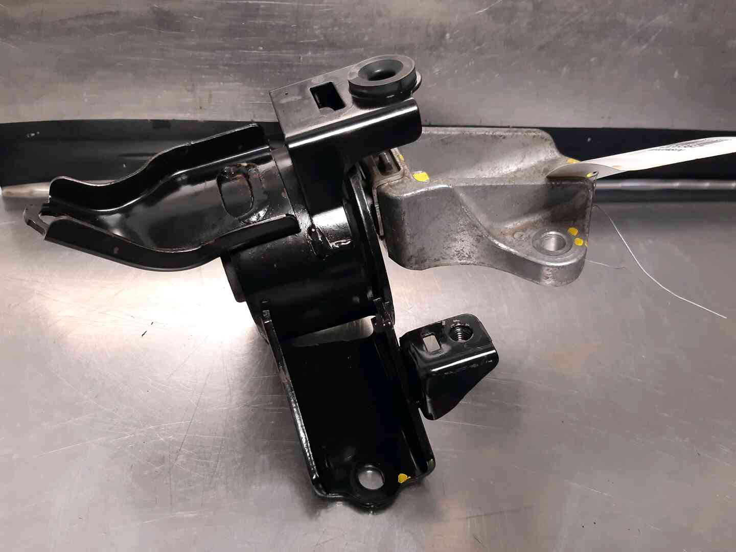 Image sélectionnée